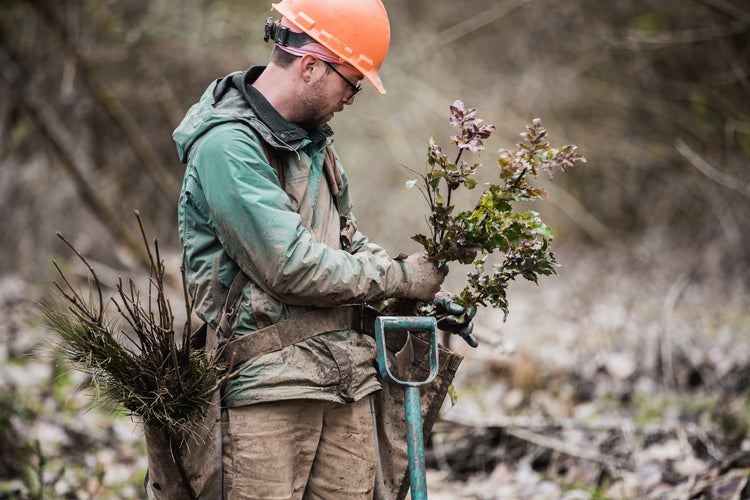 Planting Trees in Oregon with One Tree Planted