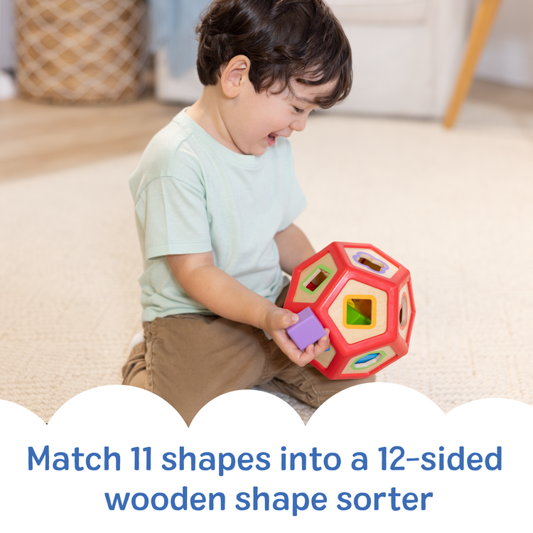 Geometric Shape Sorter Wooden Toy