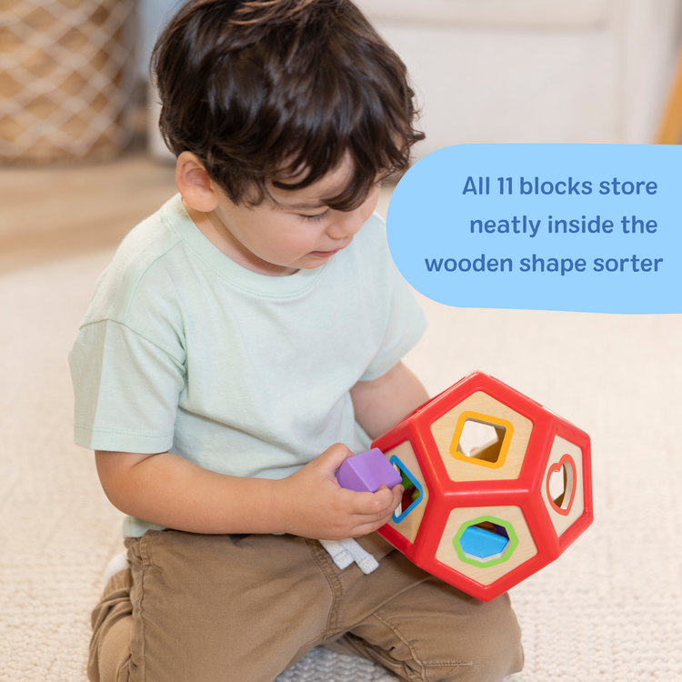 Geometric Shape Sorter Wooden Toy