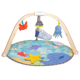 Baby Toys
