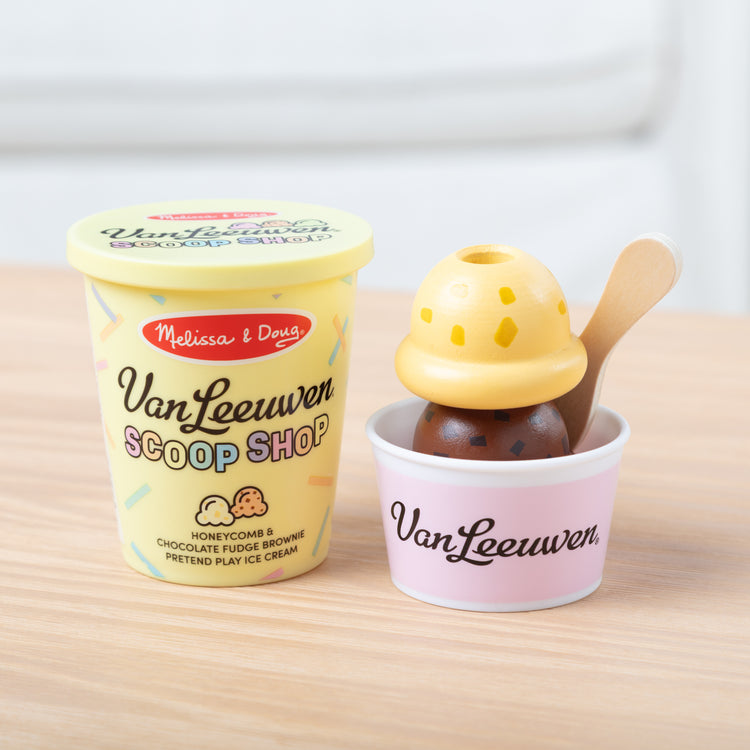 Ultimate Van Leeuwen Ice Cream Shop Bundle