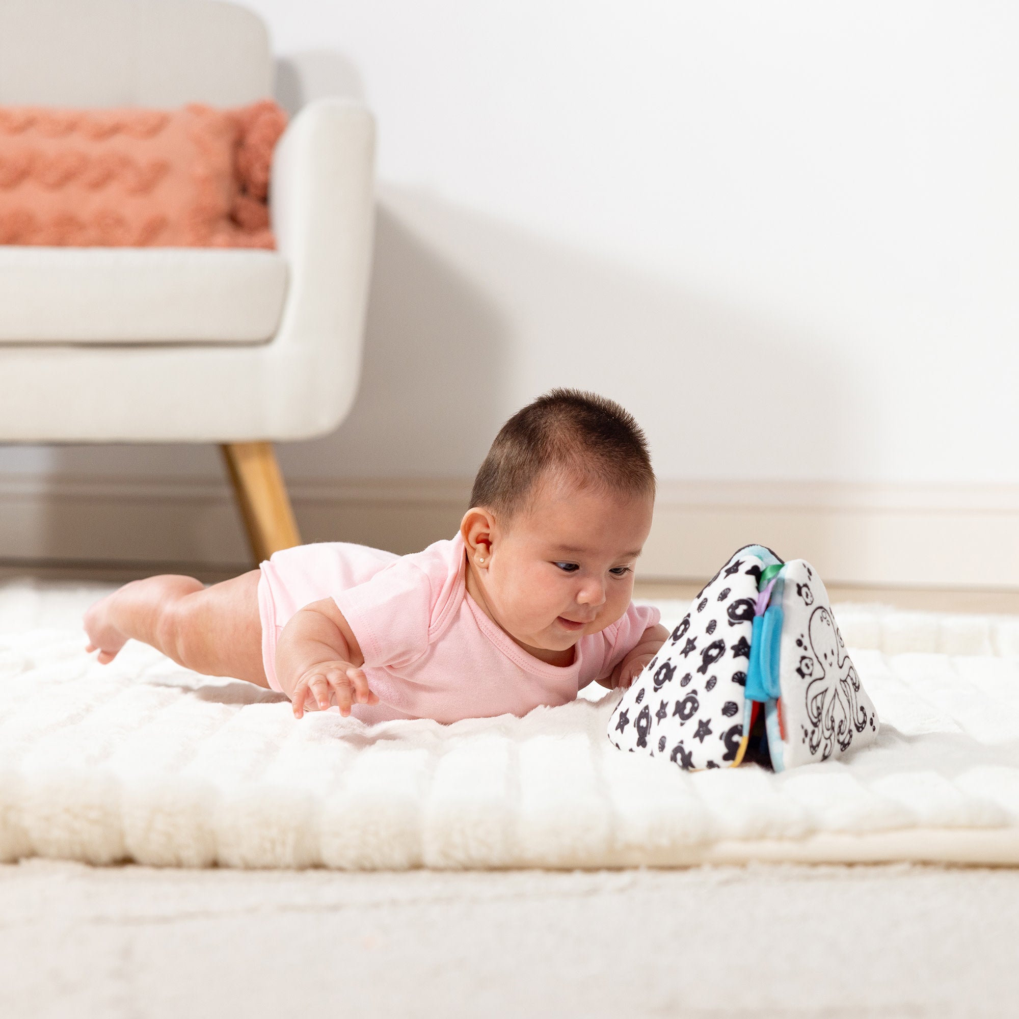 sensory toy
