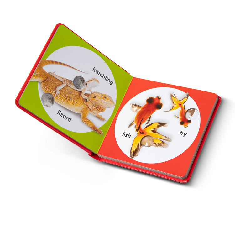 The loose pieces of The Melissa & Doug Children’s Book – Poke-a-Dot: Pet Families (Board Book with Buttons to Pop)