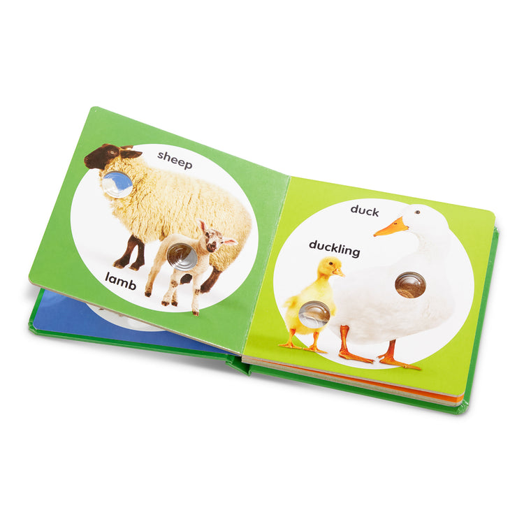 The loose pieces of The Melissa & Doug Children’s Book – Poke-a-Dot: Farm Animal Families (Board Book with Buttons to Pop)