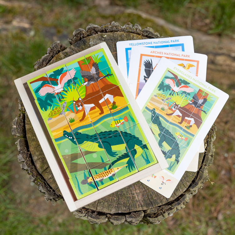 An outdoor scene with The Melissa & Doug National Parks Alphabet & Animals 24-Piece Cube Puzzle (Everglades, Arches, Yellowstone)
