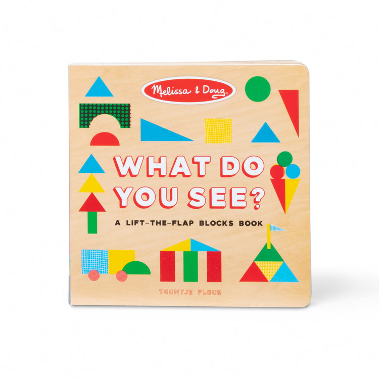 What Do You See? Lift-The-Flap Blocks Book