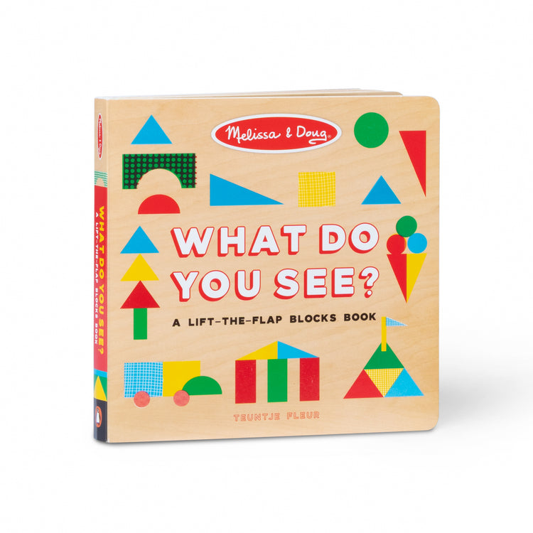 What Do You See? Lift-The-Flap Blocks Book