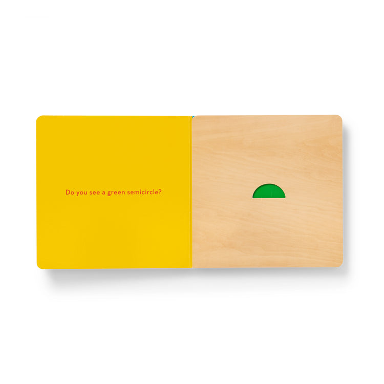 What Do You See? Lift-The-Flap Blocks Book