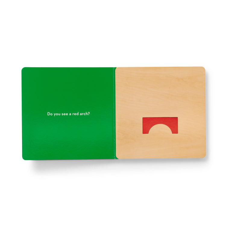 What Do You See? Lift-The-Flap Blocks Book
