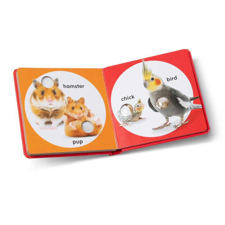 The loose pieces of The Melissa & Doug Children’s Book – Poke-a-Dot: Pet Families (Board Book with Buttons to Pop)