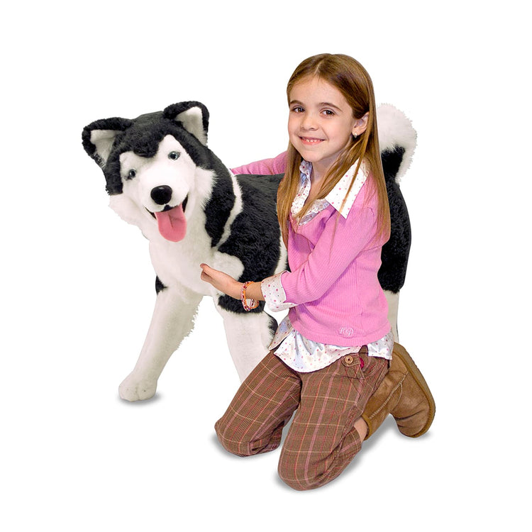 A child on white background with the Melissa & Doug Giant Siberian Husky - Lifelike Stuffed Animal Dog (over 2 feet tall)