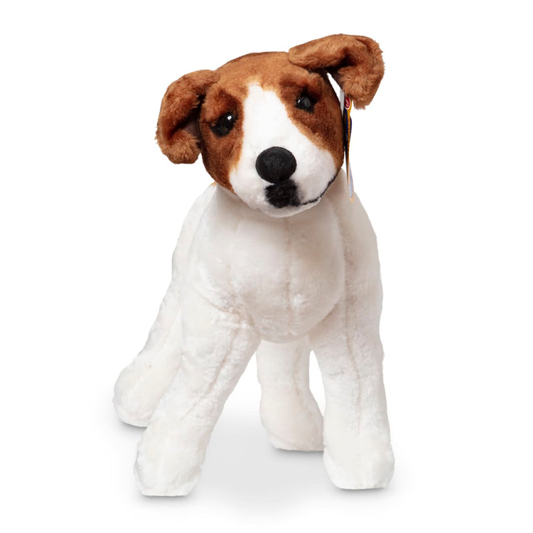 What Kind Of Dog Toys Does A Jack Russell Terrier Like