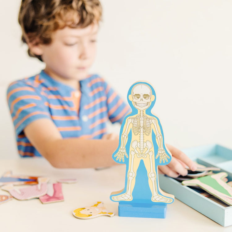 A kid playing with the Melissa & Doug Magnetic Human Body Anatomy Play Set With 24 Magnetic Pieces and Storage Tray
