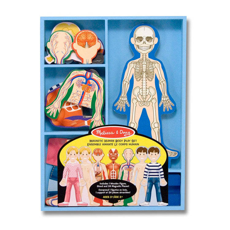 the Melissa & Doug Magnetic Human Body Anatomy Play Set With 24 Magnetic Pieces and Storage Tray