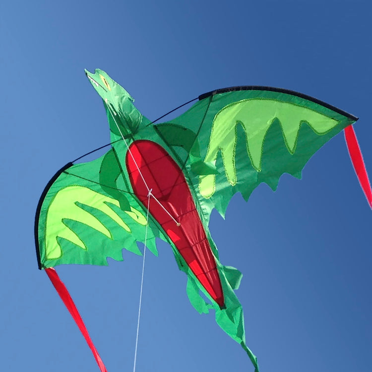 the Melissa & Doug Winged Dragon Shaped Kite (62-Inch Wingspan)